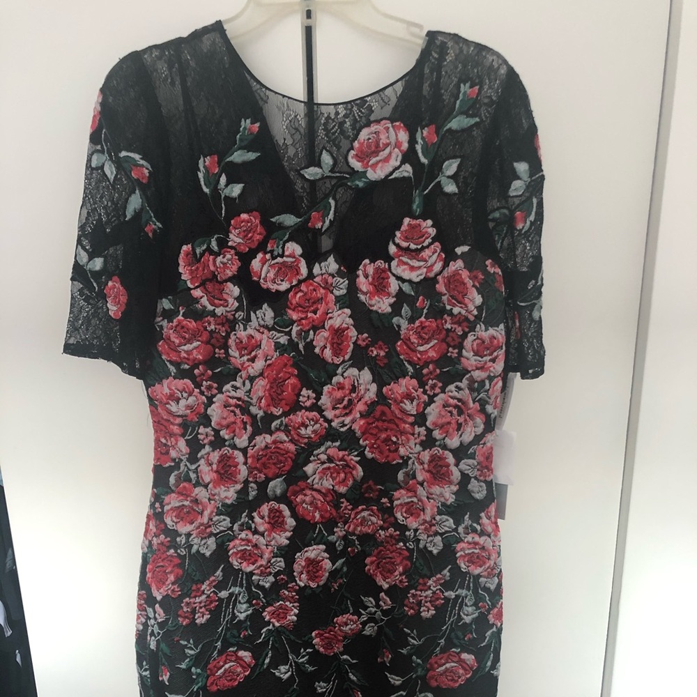 TeriJon Black and Red Floral & Lace Cocktail Dress